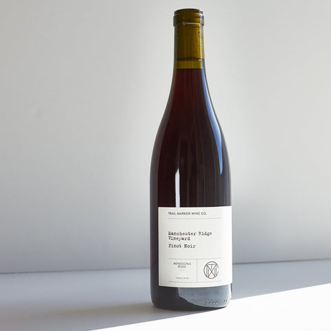 2020 Manchester Ridge Vineyard Pinot Noir